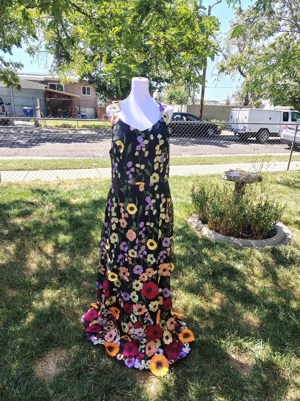 3D Floral Applique Dress